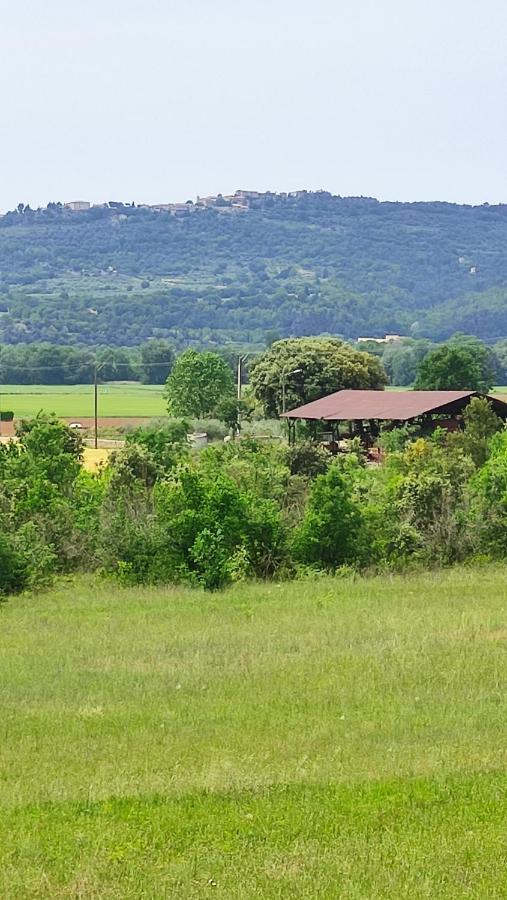 Joli Appartement Dans Village Calme En Provence Les Mees Екстер'єр фото